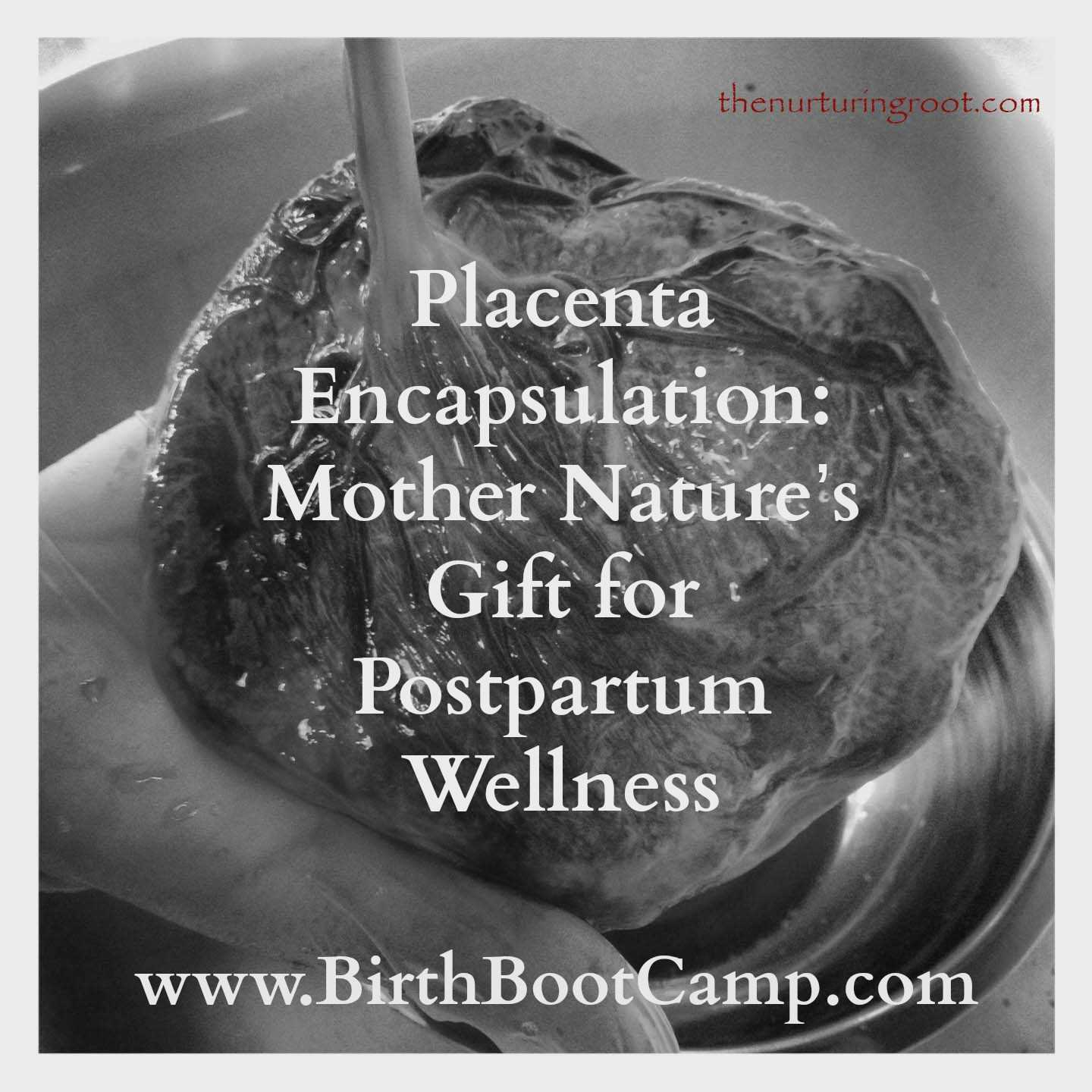 placenta encapsulation: mother nature's gift for postpartum wellness