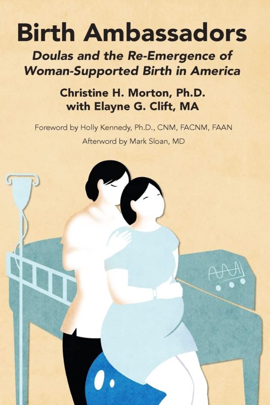 Text: Birth Ambassadors Image: Birth Ambassadors book cover